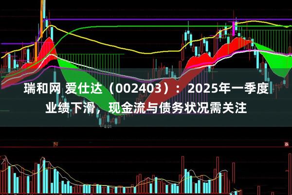 瑞和网 爱仕达（002403）：2025年一季度业绩下滑，现金流与债务状况需关注